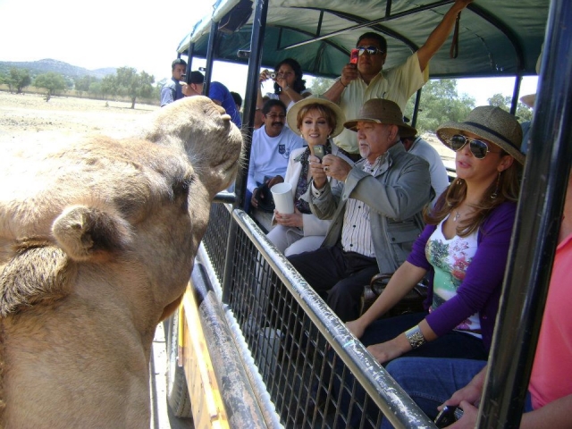  Guided tours 